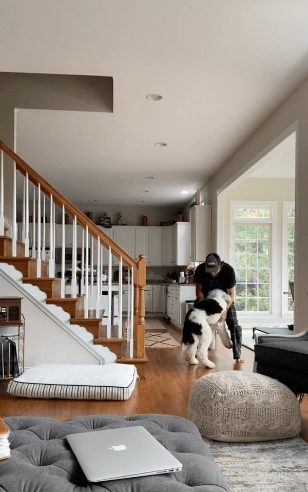 출처 : Reddit / 서로를 향해 애정을 보여주는 강아지와 주인