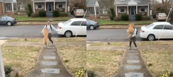 출처 : Reddit / 주인을 향해 뛰어가며 점프하며 안기는 골든 리트리버