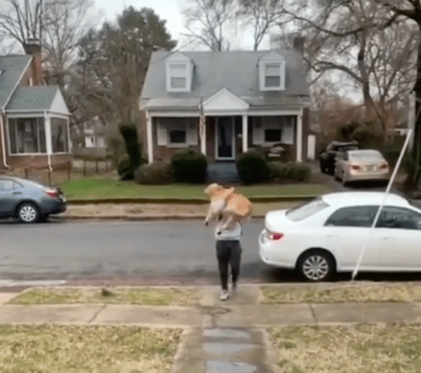 출처 : Reddit / 아기처럼 안겨있는 골든 리트리버