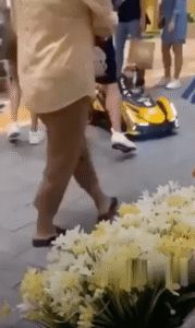 고양이 레이서, 장난감 자동차로 실내를 질주하다