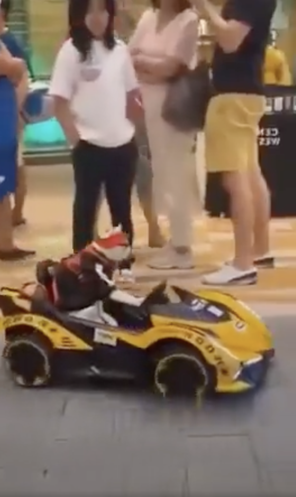 출처 : Reddit / 실내를 누비는 장난감 스포츠카 그리고 그 위에 탑승한 고양이