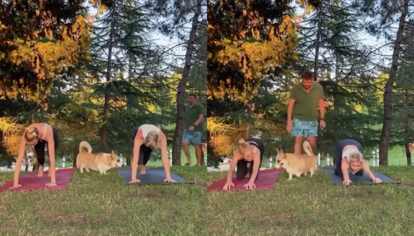 출처 : Reddit / 엄마도 보고 딸도 보며 이리저리 뛰어다니는 웰시와 그를 잡으려는 아빠