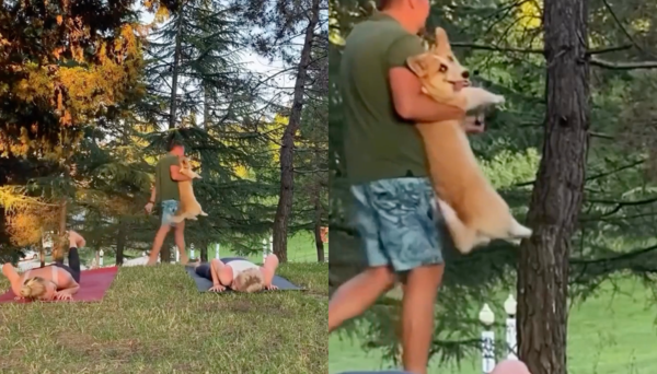 출처 : Reddit / 결국 아빠에게 잡혀 아쉬운 듯 엄마와 아빠를 바라보는 웰시코기