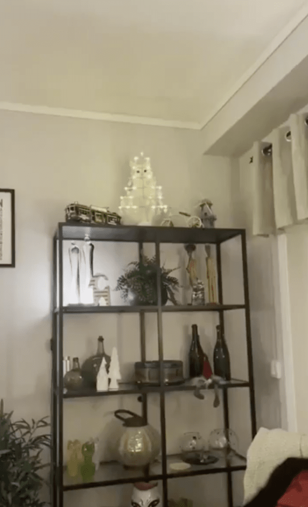 출처 : Reddit / 진열장 위에 올려져 있는 크리스마스 조명 뒤에 무엇이 있다?