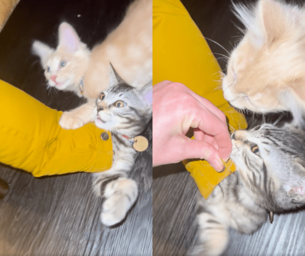 출처 : Reddit / 얼른 구해주지 않고 뭐하냥!!!