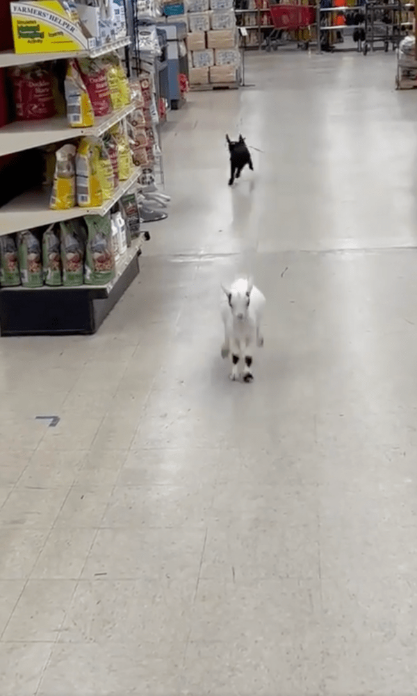 출처 : Reddit / 이제 고요해지는 듯한 마트