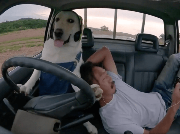 출처 : Reddit / 나 운전 잘하개?