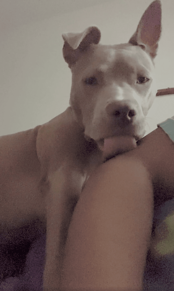 출처 : Reddit / 무슨 맛이 느껴지는 걸까?