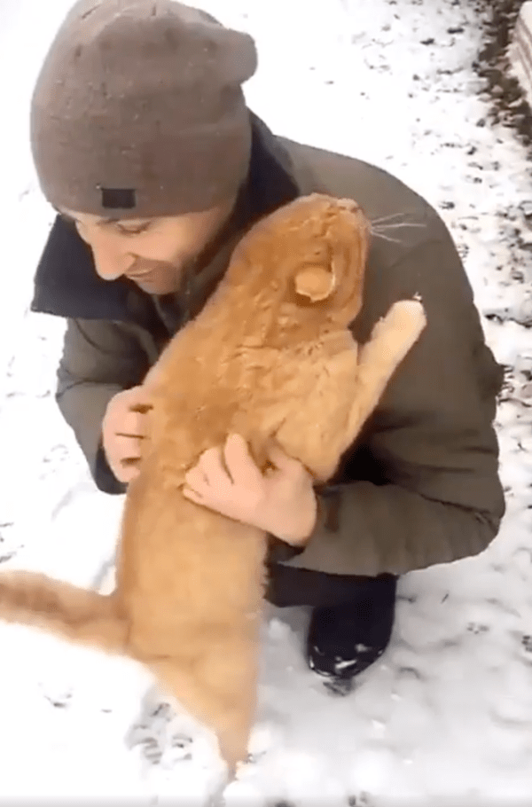 출처 : Reddit / 날 꼭 껴안아라냥~