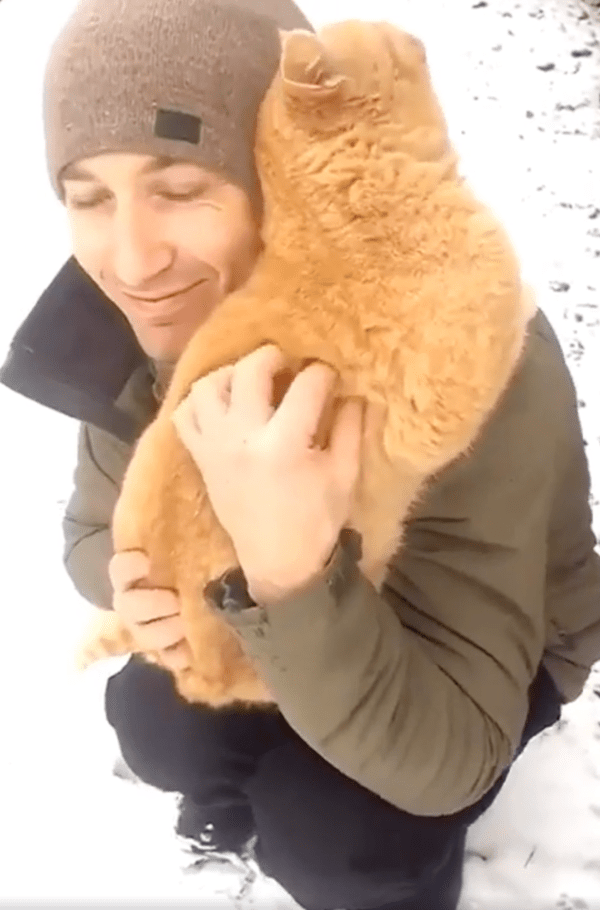 출처 : Reddit / 고양이를 꼭 껴안아준 사람