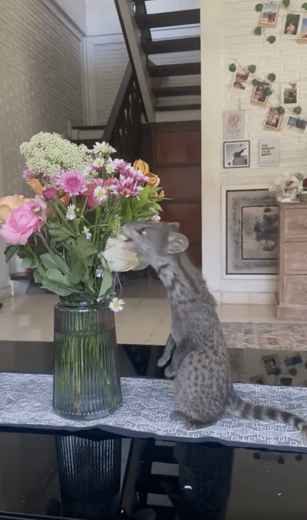 출처 : Reddit / 한번 먹어볼까냥? 