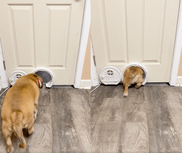 출처 : Reddit / 다시 나갈거개~ 이 문 너무 좋다개~