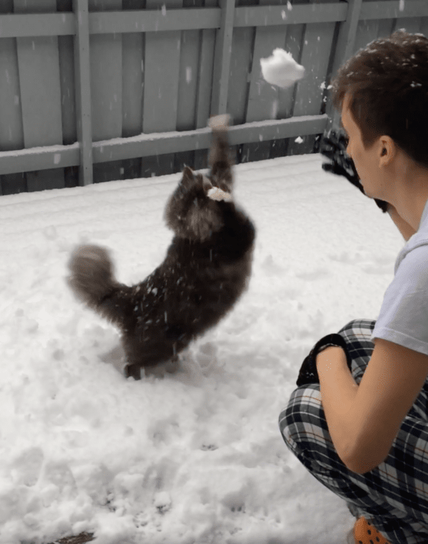 출처 : Reddit / 눈 가지고 노는 거 정말 재밌다옹~