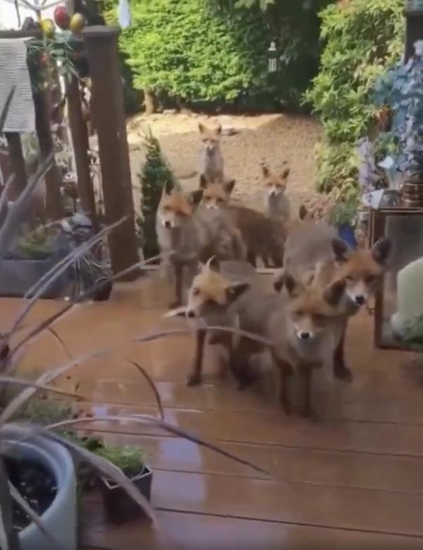 출처 : Reddit / 얼른 문을 열고 우리에게 맛있는 걸 주세여우!