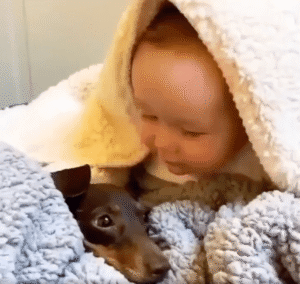 아이와 강아지가 나눈 따뜻한 교감, “소소한 행복의 의미를 깨닫다”