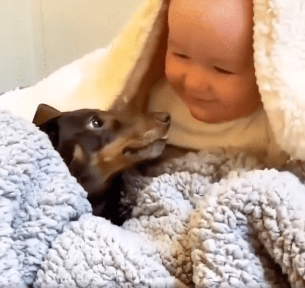 출처 : Reddit / 뽀뽀 받고 행복한 아이의 표정