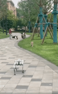 강아지들 ‘혼비백산’? 로봇 강아지 등장에 공원 대소동!