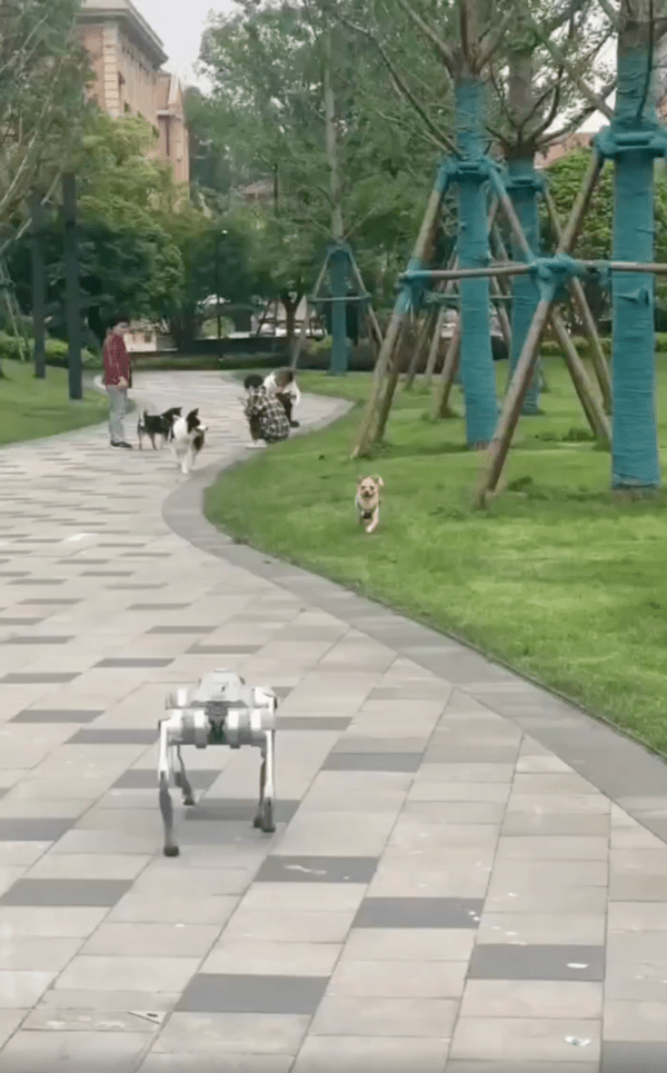 출처 : Reddit / 공원에 나타난 수상한(?) 로봇 강아지를 본 강아지들