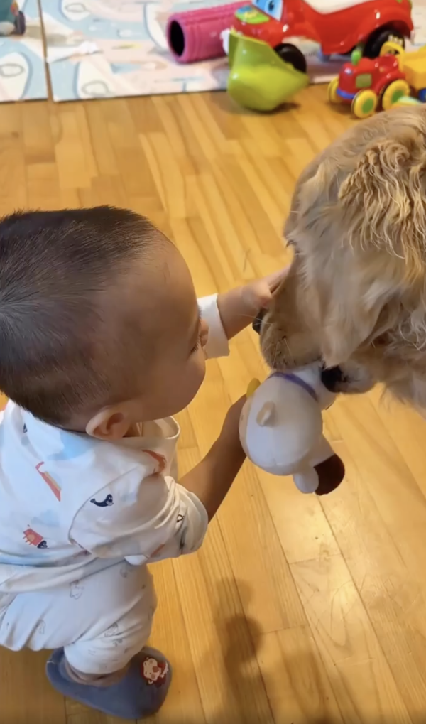 출처 : Reddit / 애착 인형을 뺏겨서 속상한 아이