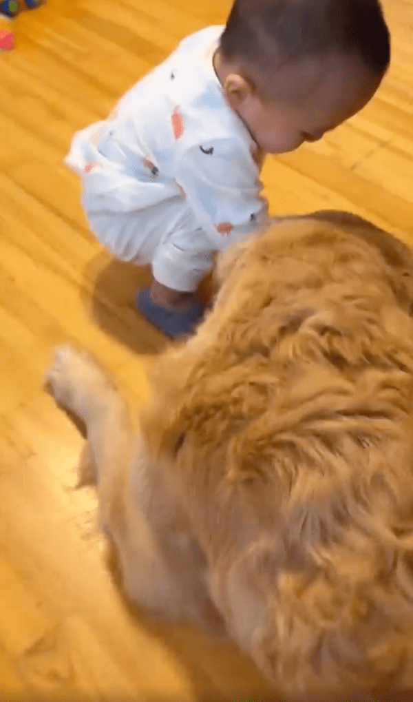 출처 : Reddit / 터그 놀이 하는 거개?