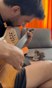 기타 선율에 물든 순간, 아기 고양이와 주인이 빚어낸 따뜻한 하모니