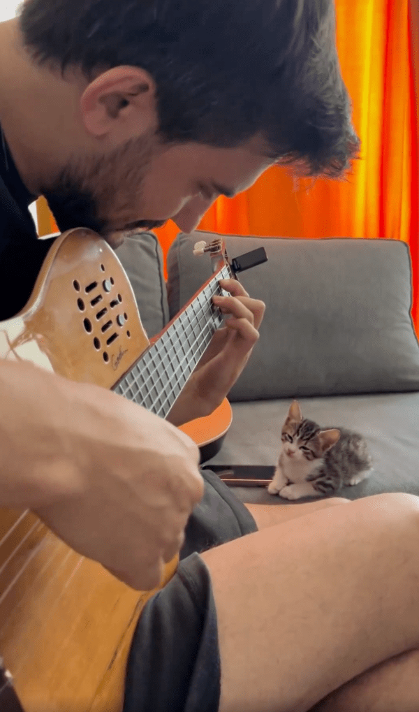 출처 : Reddit / 음악을 듣고 있으니 슬슬 눈이 감긴다옹...