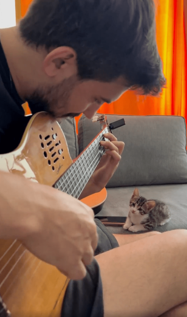 출처 : Reddit / 아름다운 음악 앞에서 감히 잠을 자다니옹! 안된다옹!