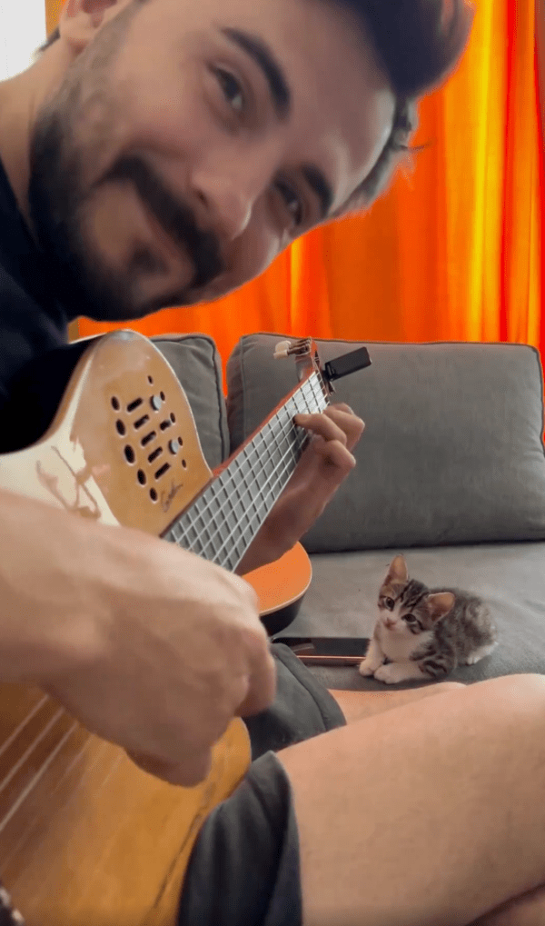 출처 : Reddit / 사랑스러운 고양이의 모습을 보고 미소 짓는 집사