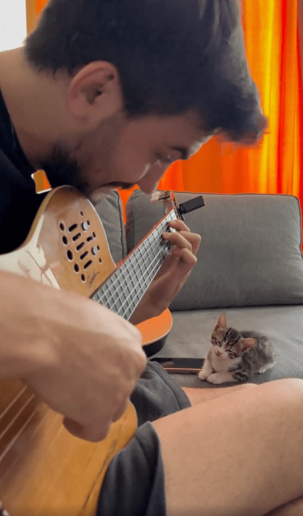 출처 : Reddit / 음악이 너무 감미로운지 눈감고 음악 감상 중이다옹...