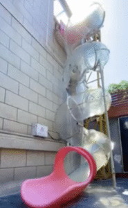 강아지 유치원, 투명 미끄럼틀로 화제! 웃음과 힐링 한가득