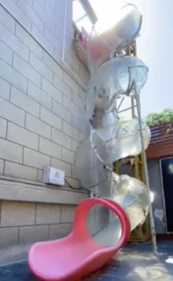 출처 : Reddit / 대형 미끄럼틀로 내려오는 강아지들