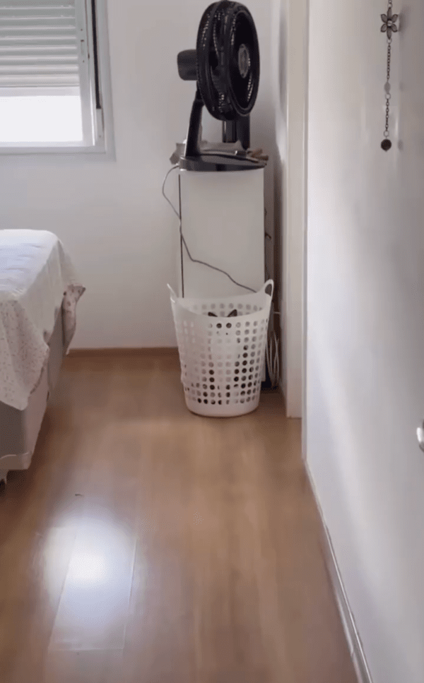 출처 : Reddit / 고양이가 어디에 숨었는지 아는 사람?