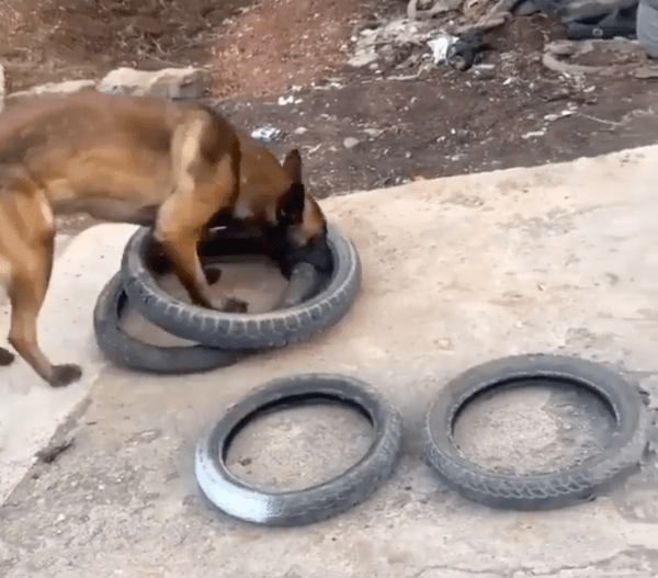 출처 : Reddit / 이렇게 들면 한번에 가능할 것 같개