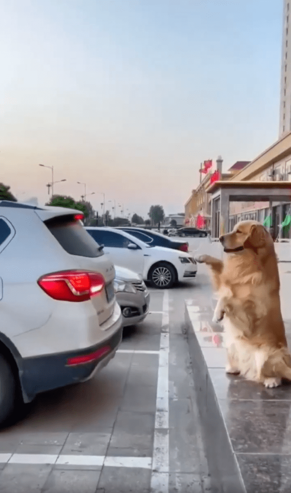 출처 : Reddit / 주차가 거의 끝나간다개~