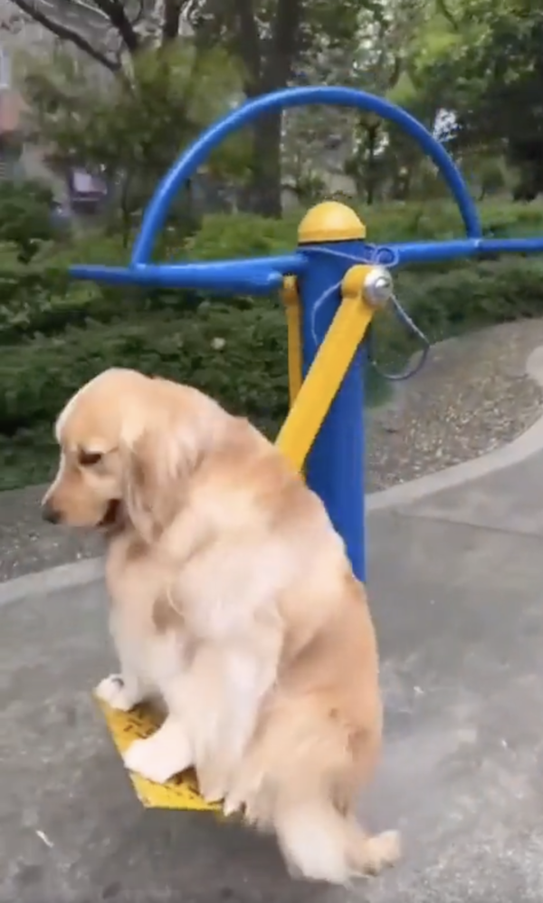 출처 : Reddit / 뭐든 재밌게 놀면 그만이개~