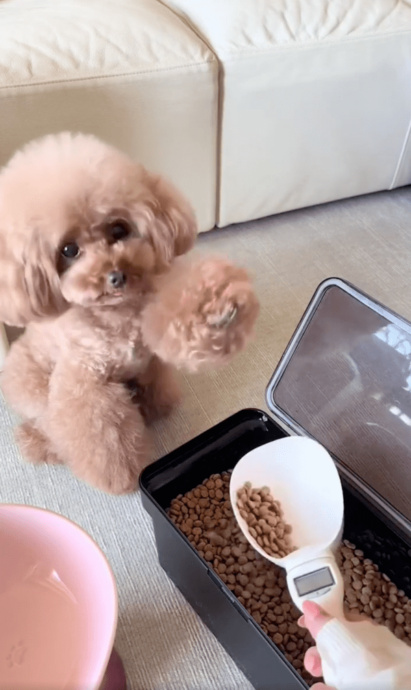 출처 : Reddit / 그만 덜어도 될거 같개...