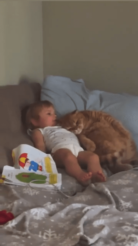 출처 : Reddit / 아기에게 기대는 고양이