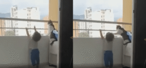 “위험해!” 아이를 지켜주는 고양이의 따뜻한 보호 본능