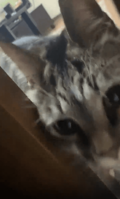 출처 : Reddit / 도착했다