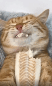 두 손으로 꽉 잡고, 멈추지 않는 집중력