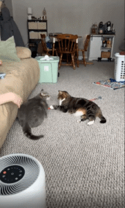 조용한 대화, 부드러운 터치