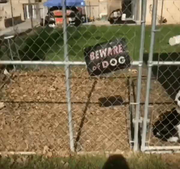 출처 : Reddit / 개를 조심하시오 라는 경고문이 붙어있다
