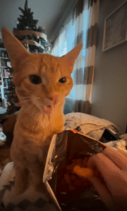 이건 내 거야! 넘보지 마!