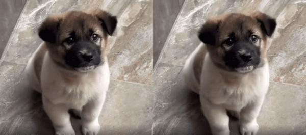 출처 : Reddit / 빨리 주실꺼죠?