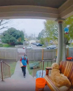 배달 왔습니다… 그런데 개는 왜 갑자기 쓰러진 거죠?