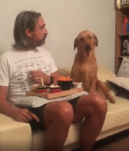 배고픈 게 아니라니까요? …하지만 눈은 떼지 못하는 개