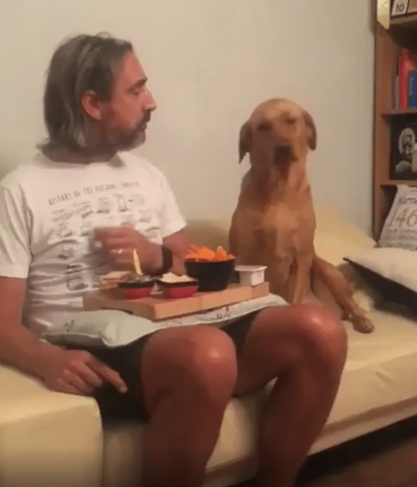 출처 : Reddit / 주인과 개가 소파에 앉아있다