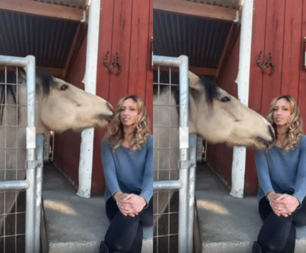 출처 : Reddit / 여성이 락엔롤 이라고 말하자 거기에 반응을 하는 말