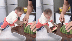 수박 썰기 도우미, 원숭이의 똑똑한 손길!