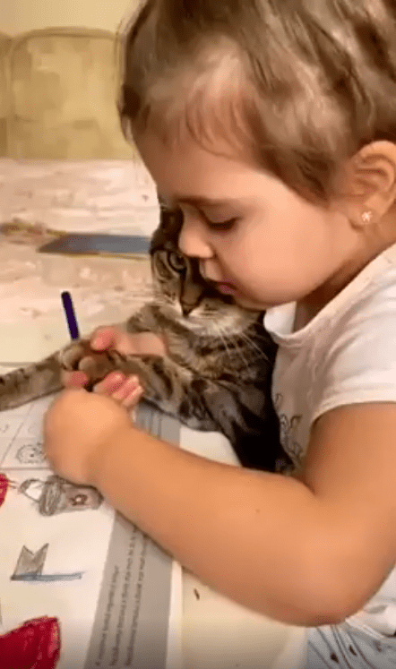 출처 : Reddit / 아이가 고양이에게 쥐어쥔 펜위치를 다시 잡고있다